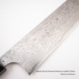 Takeshi Saji SG2 鑽石大馬士革 Sujihiki 270mm