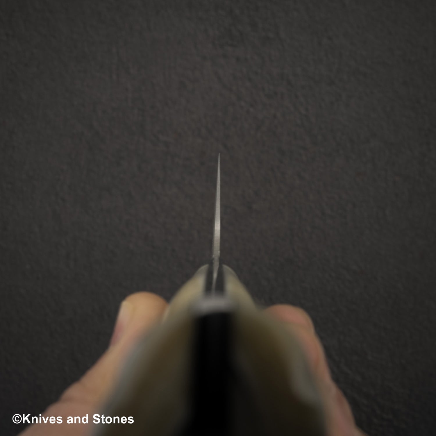 Takeshi Saji SG2 黑色大馬士革三德刀 180 毫米鹿角柄