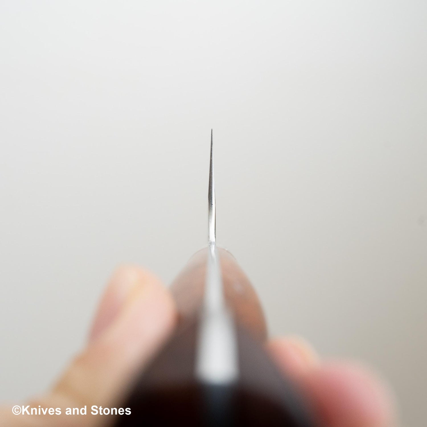 Takeshi Saji SRS13 Santoku 180mm Western Amboyna Handle