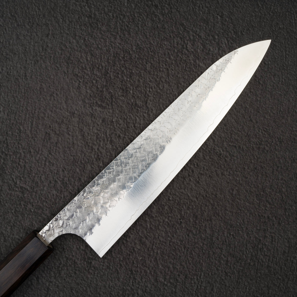 加藤佳美 SG2 南牛斗 210mm