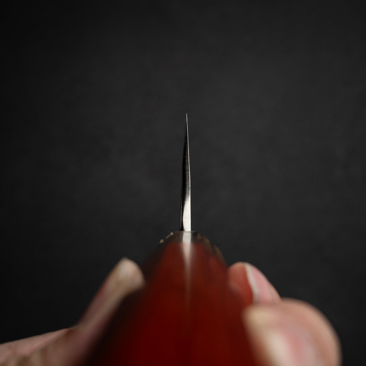 黑崎優 Shizuku SG2 Gyuto 240mm