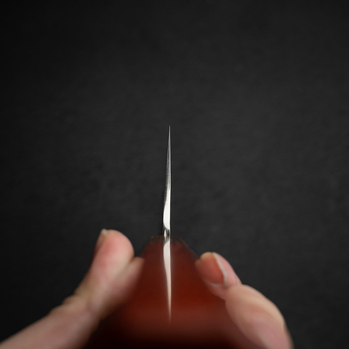 黑崎優 Shizuku SG2 Gyuto 270mm