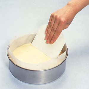 Cakeland Plastic Scraper #554 by TigerCrown