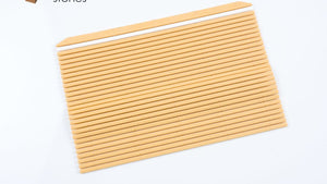 Hasegawa Anti-Bacterial Makisu Sushi Mat
